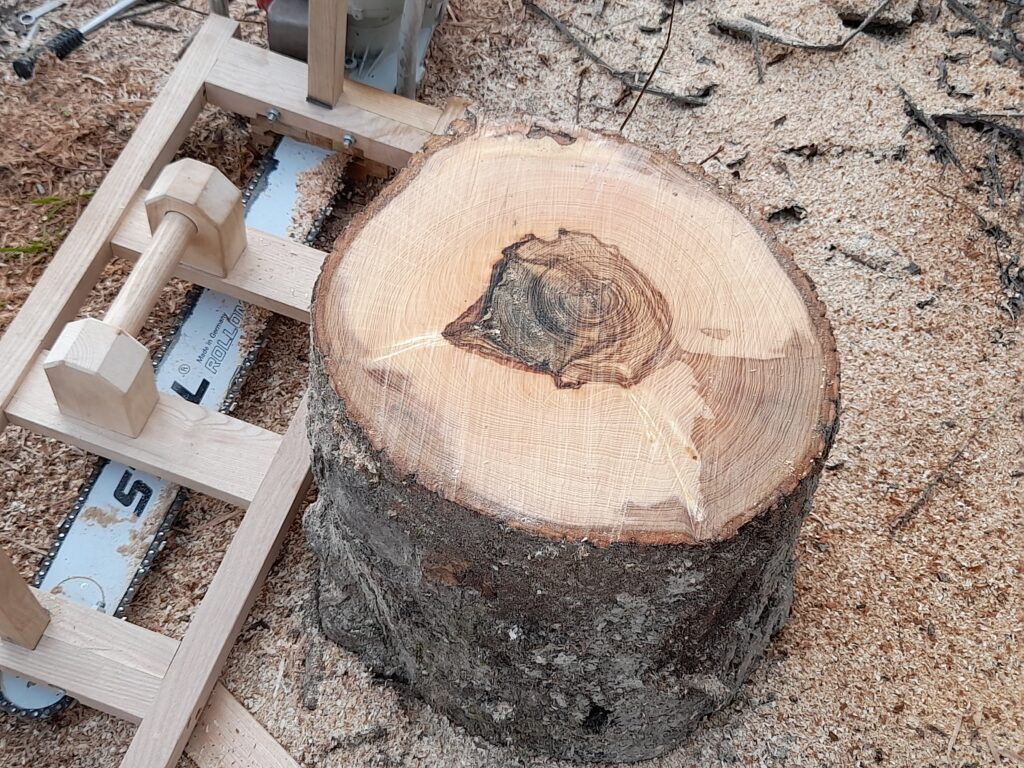 Débiter des Planches avec une Gruminette. La Gruminette reste une solution économique pour débiter des pladans des bois rares comme la ronce de Frêne, du mirabellier ou encore pommier.