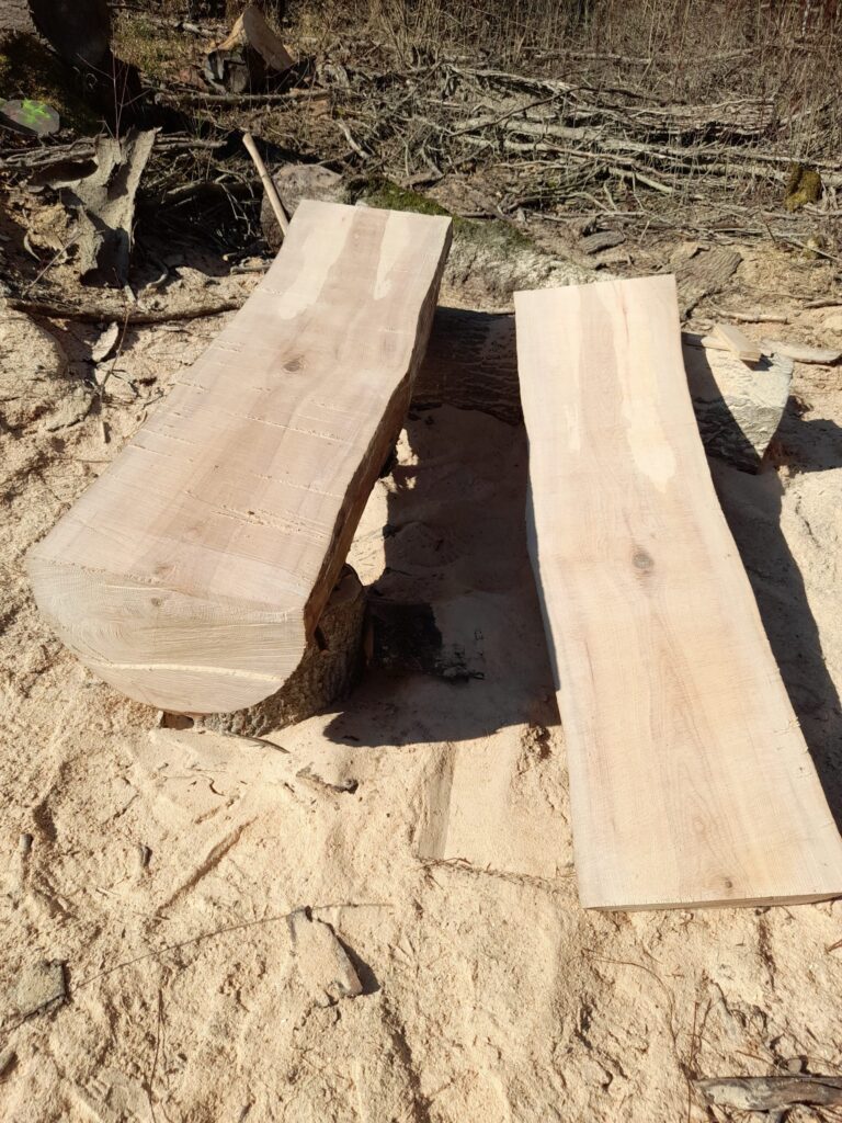 Débiter des Planches avec une Gruminette. La Gruminette reste une solution économique pour débiter des pladans des bois rares comme la ronce de Frêne, du mirabellier ou encore pommier.