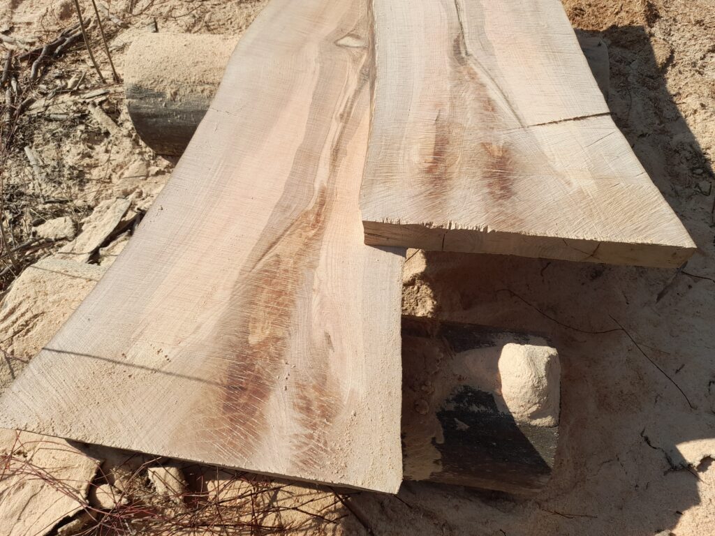 Débiter des Planches avec une Gruminette. La Gruminette reste une solution économique pour débiter des pladans des bois rares comme la ronce de Frêne, du mirabellier ou encore pommier.