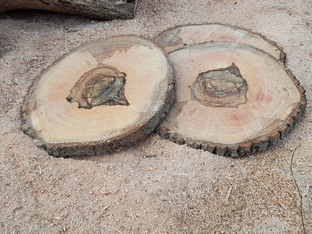 Le bois massif, la beauté du bois massif dans la décoration intérieure, valoriser les défauts du bois. Disques en bois massif, tranches de bois.
