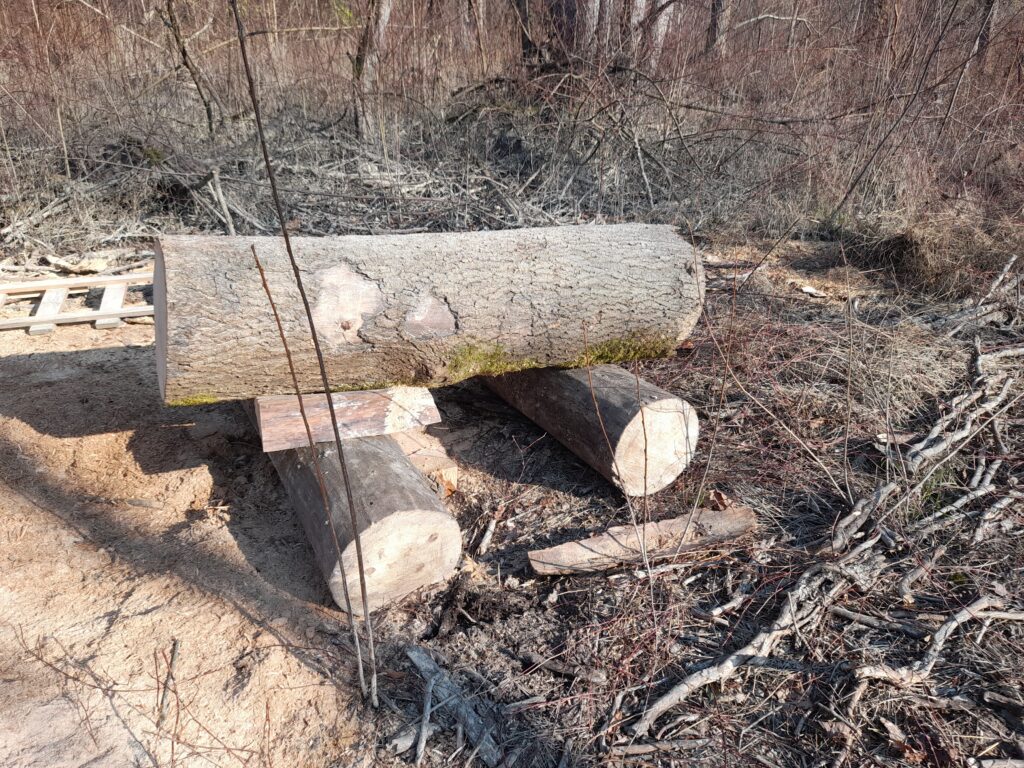 Le bois massif, la beauté du bois massif dans la décoration intérieure, valoriser les défauts du bois.