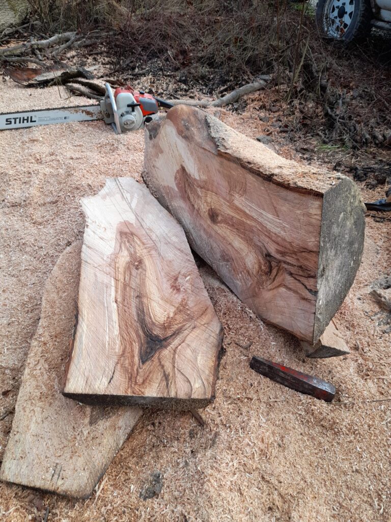 Le frêne du Taubergiessen, notre région, offre un bois exceptionnel. Ce bois séduit par son esthétique unique et sa polyvalence.