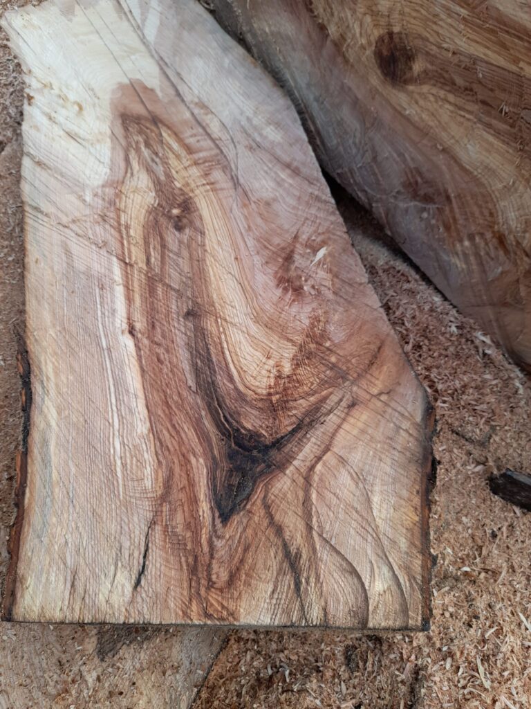 Le frêne du Taubergiessen, notre région, offre un bois exceptionnel. Ce bois séduit par son esthétique unique et sa polyvalence.