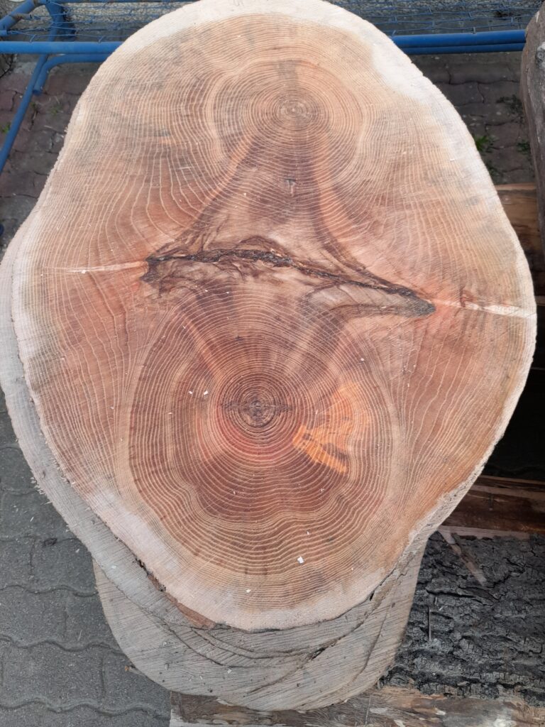 Le frêne du Taubergiessen, notre région, offre un bois exceptionnel. Ce bois séduit par son esthétique unique et sa polyvalence.