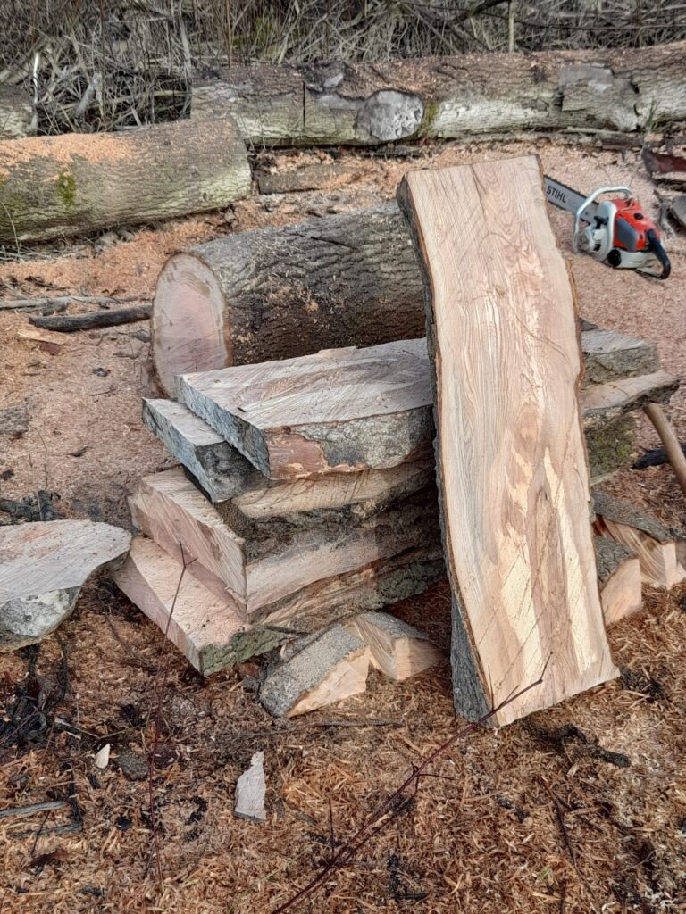 Le frêne du Taubergiessen, notre région, offre un bois exceptionnel. Ce bois séduit par son esthétique unique et sa polyvalence.