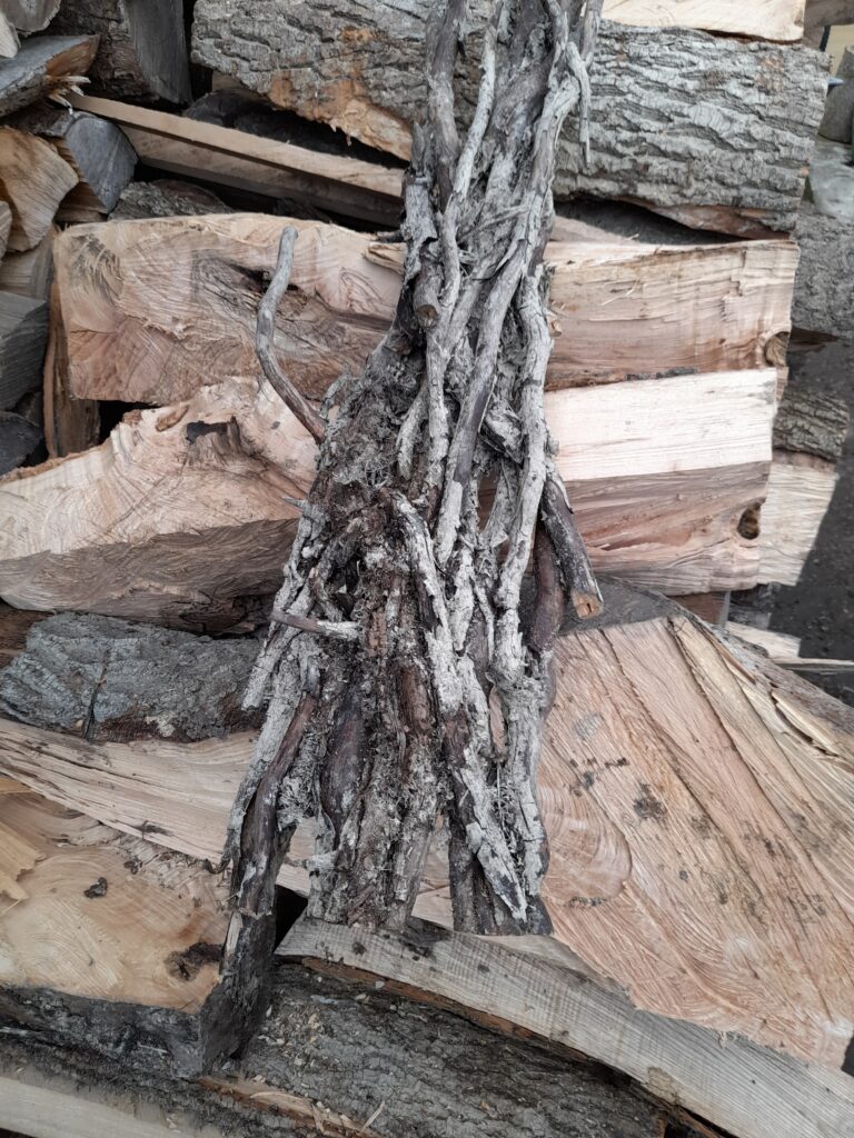 L'utilisation du bois de lierre dans nos créations