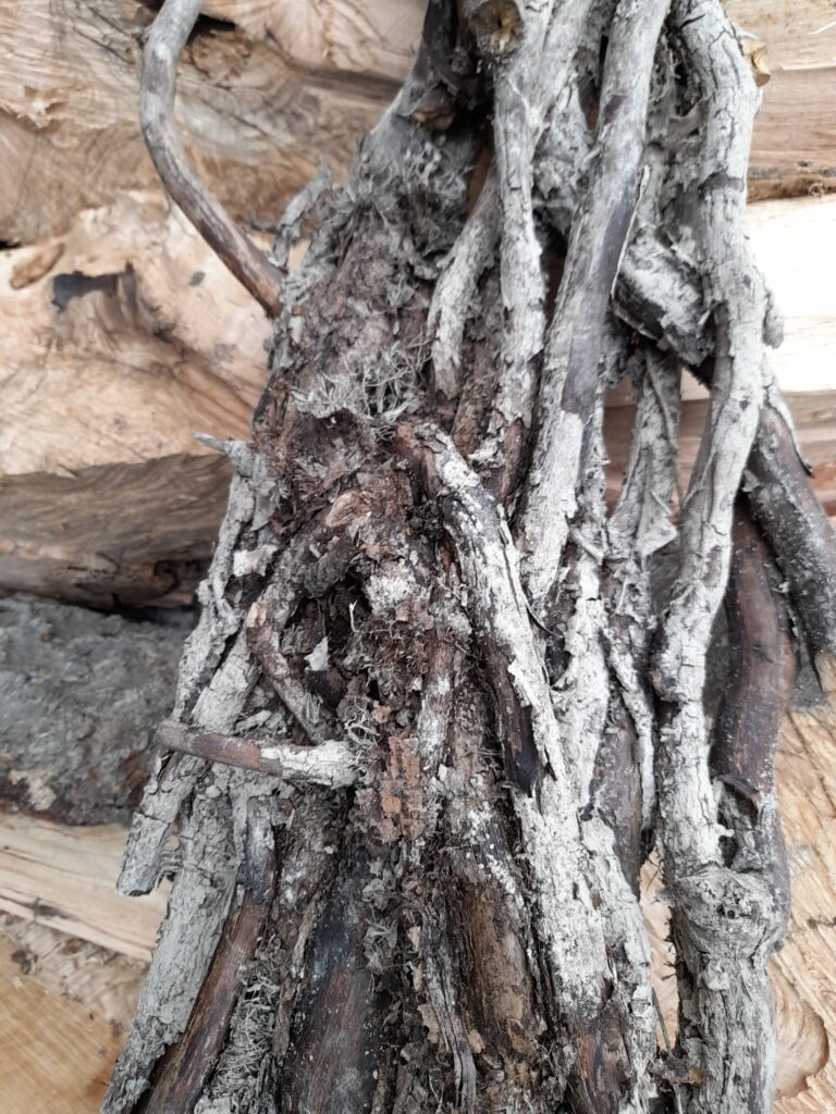 L'utilisation du bois de lierre dans nos créations