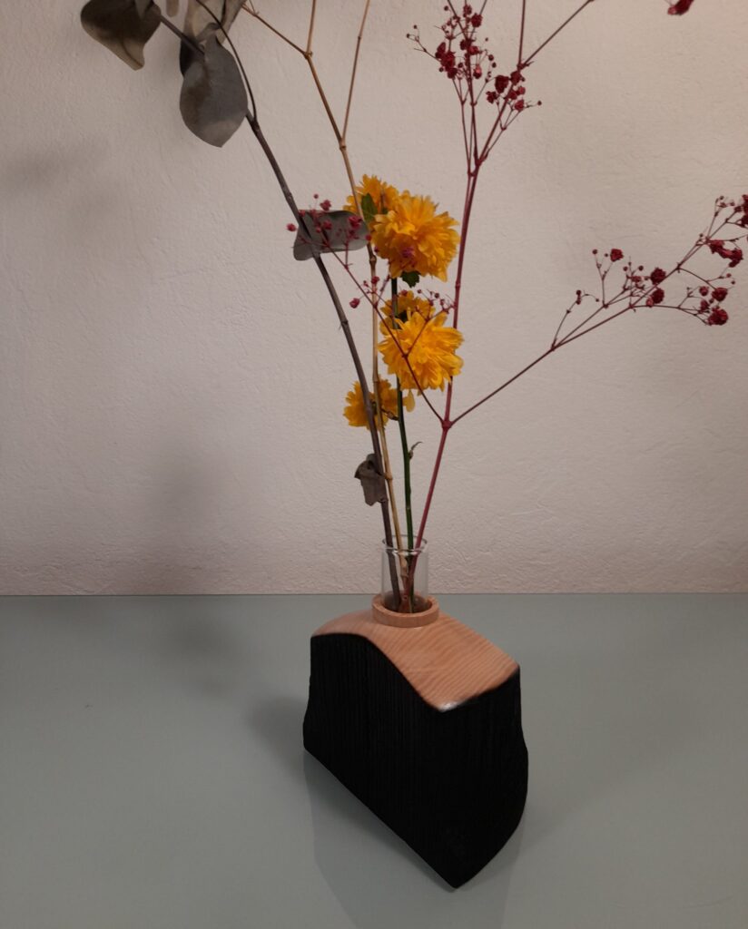 Le Bois Brûlé ~ Le Yakisugi