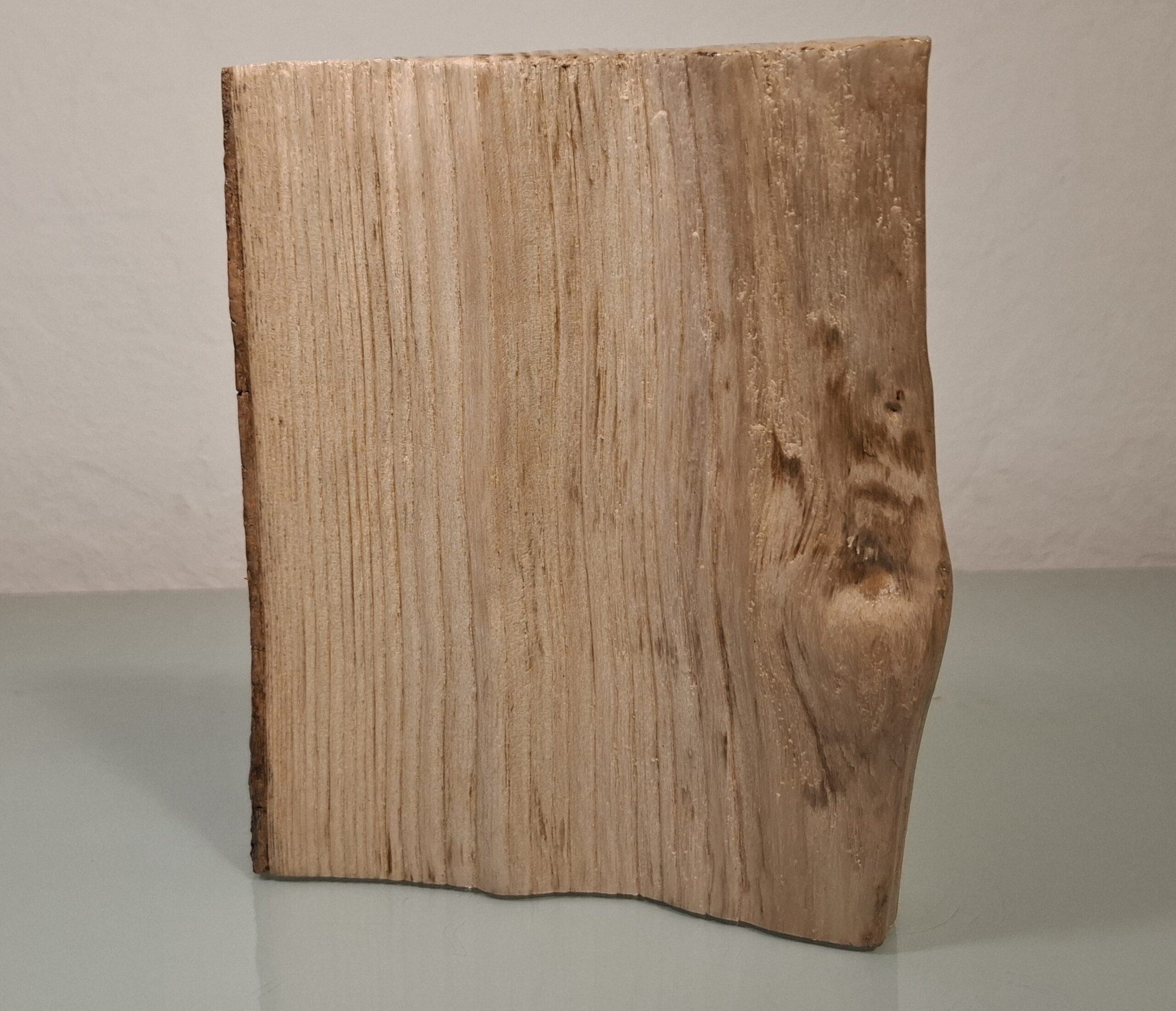 Trophées du Pêcheur : l'appât – Image 5