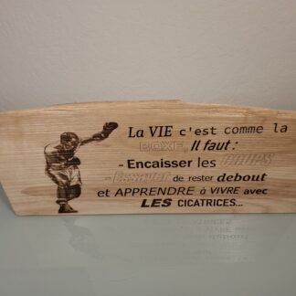 la vie c'est comme la boxe