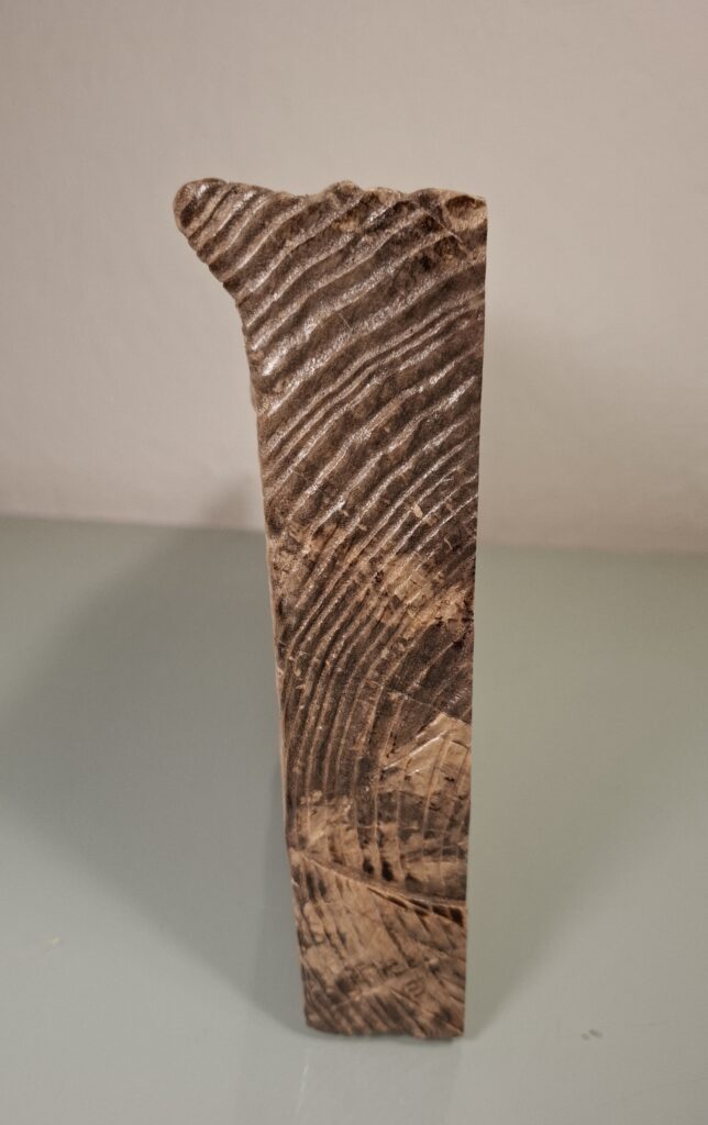 La lumière sur les données techniques de nos créations