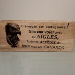 Si tu veux voler avec les Aigles