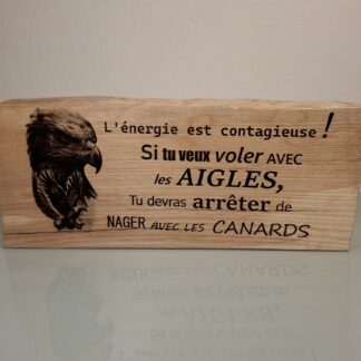 Si tu veux voler avec les Aigles